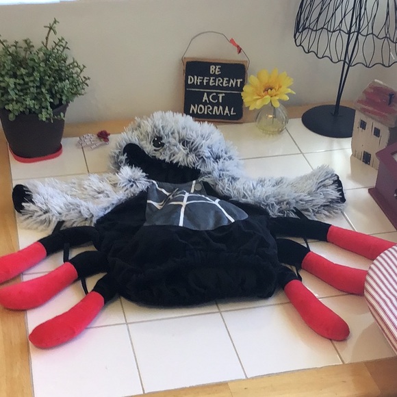 Other - Adorable Baby’s Spider Hooded Pullover Costume